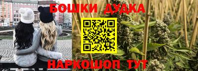 стаф Сланцы