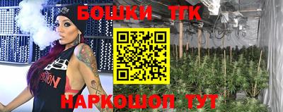 стаф Сланцы