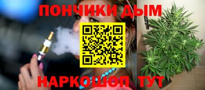 стаф Сланцы