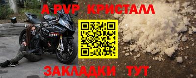 стаф Сланцы